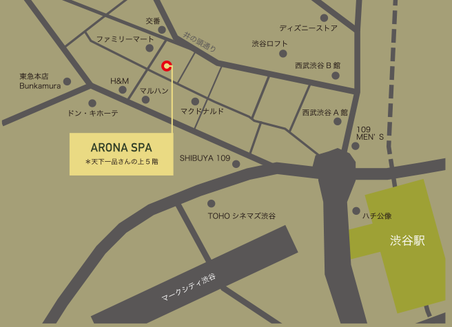 access map